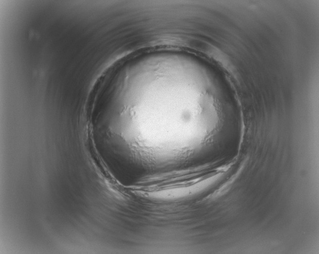 X0000070231117200606091710