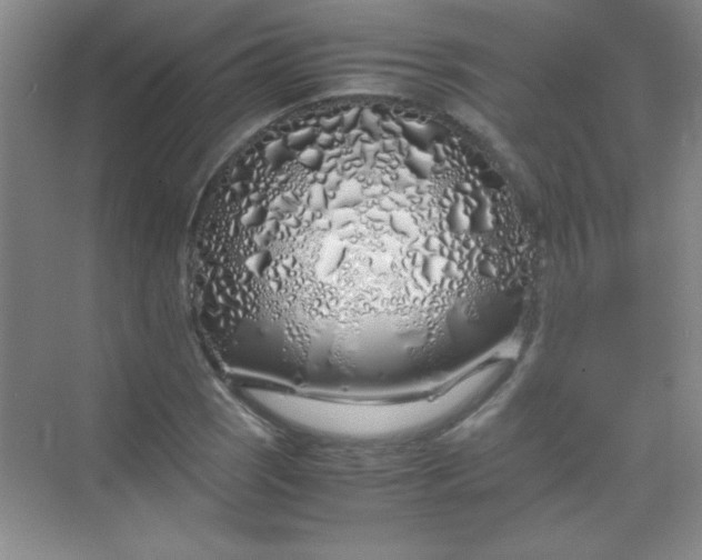 X0000070231121200606091710