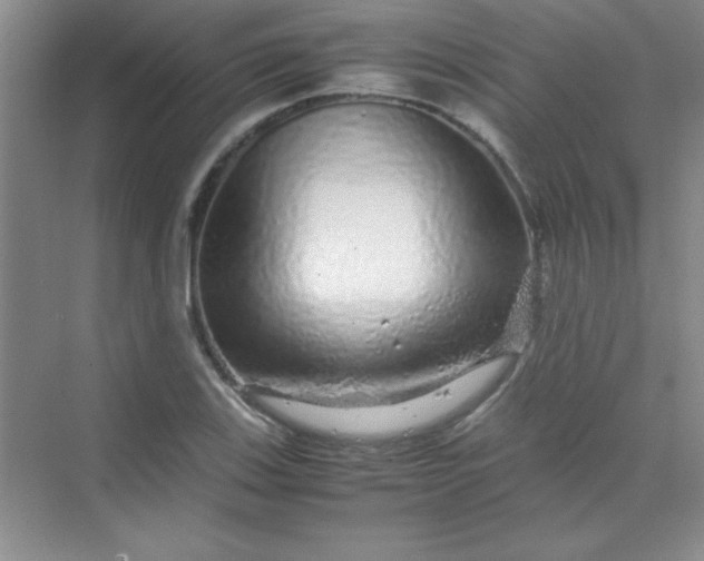 X0000070231123200606091710