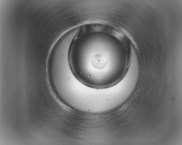 X0000070231124200606091710