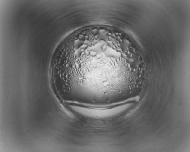 X0000070231125200606091710