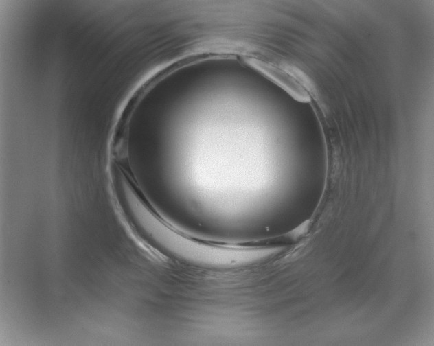 X0000070231128200606091710