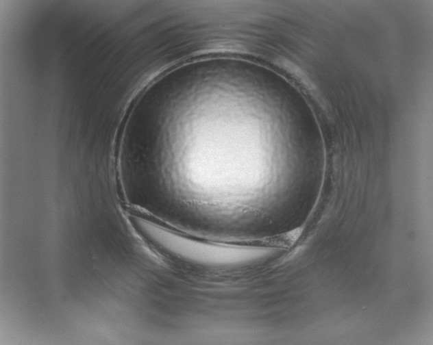 X0000070231129200606091710