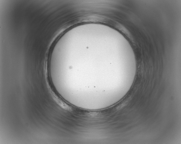 X0000070231130200606091710