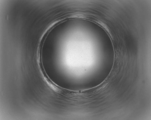 X0000070231131200606091710