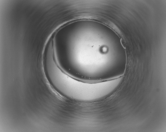 X0000070231132200606091710