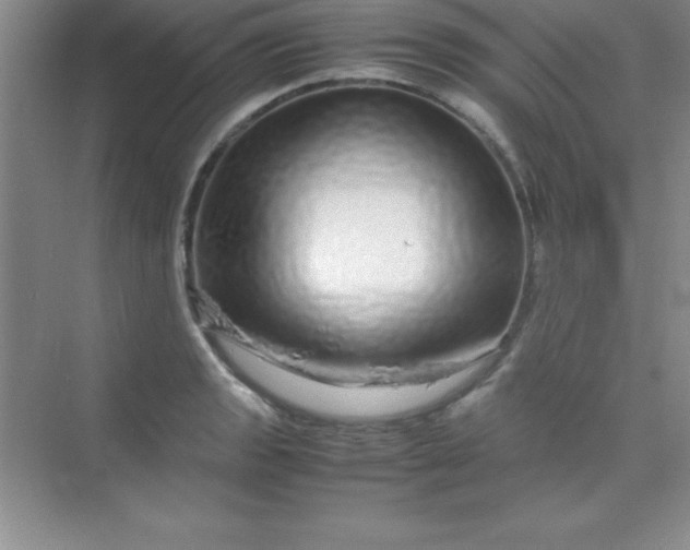 X0000070231133200606091710