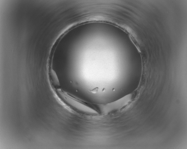 X0000070231134200606091710