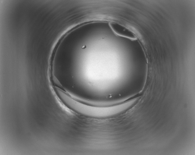 X0000070231136200606091710