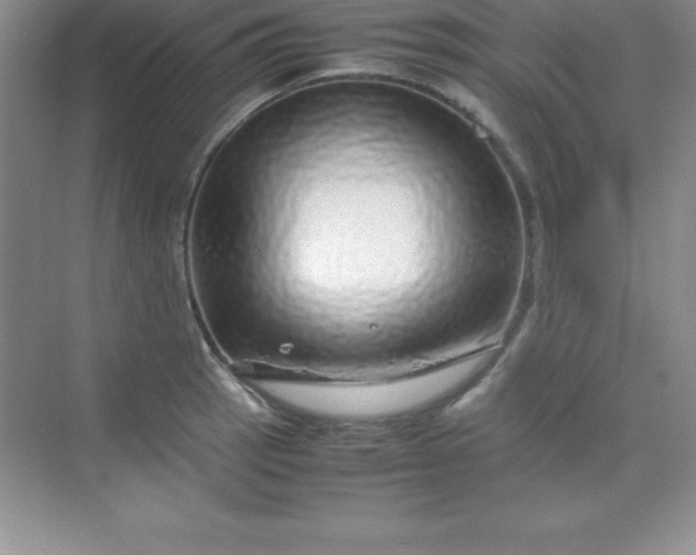 X0000070231137200606091710