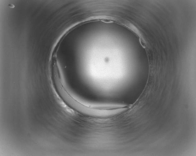 X0000070231140200606091710