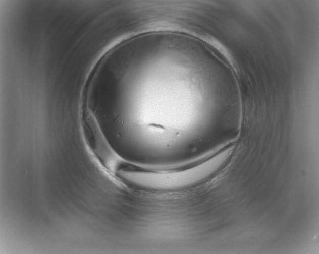 X0000070231142200606091710