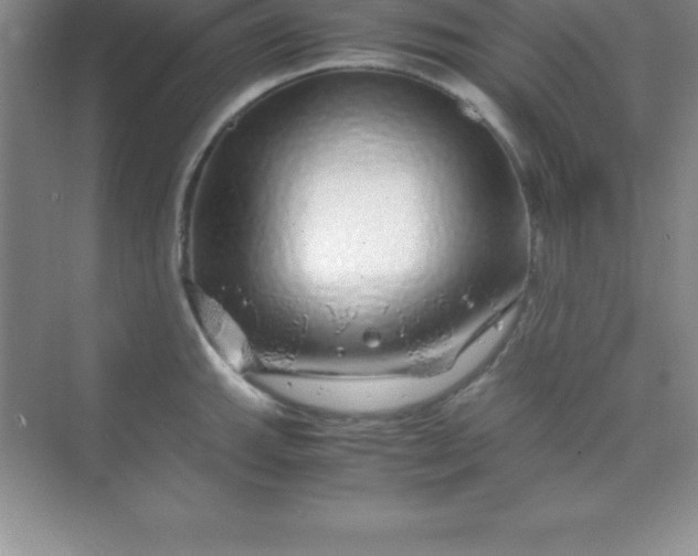 X0000070231143200606091710