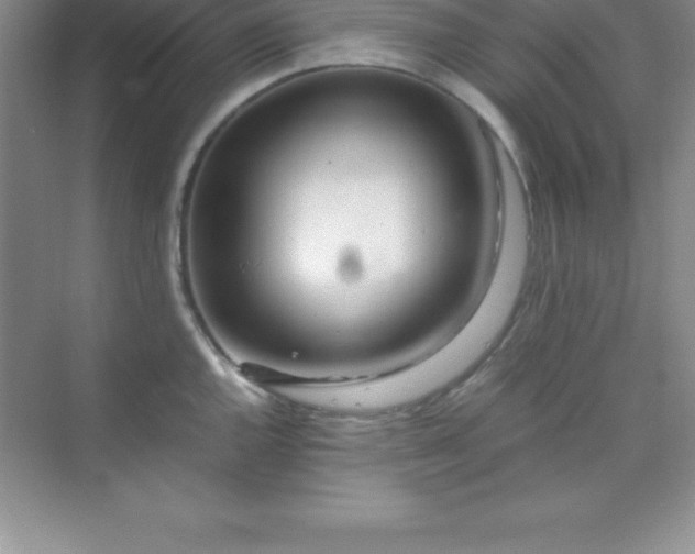 X0000070231144200606091710