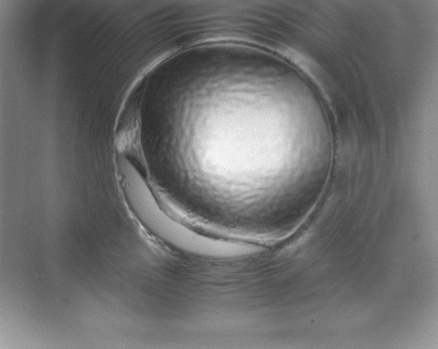 X0000070231145200606091710