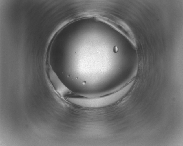 X0000070231146200606091710