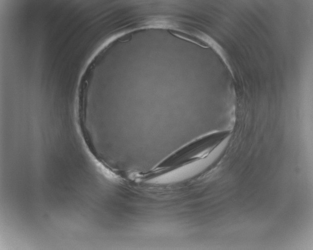 X0000070231147200606091710