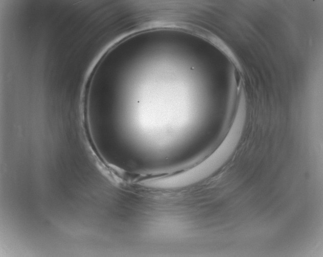 X0000070231148200606091710