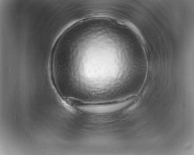 X0000070231149200606091710