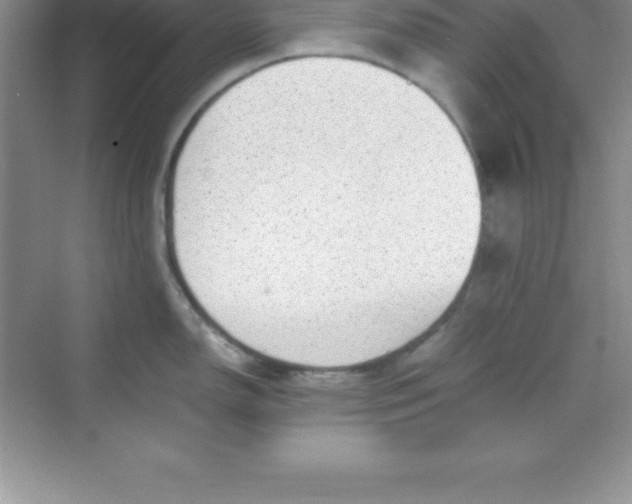 X0000070231150200606091710