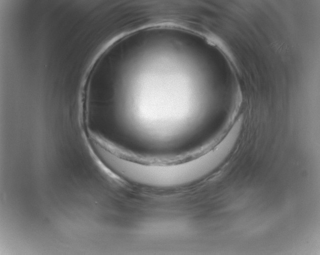 X0000070231151200606091710