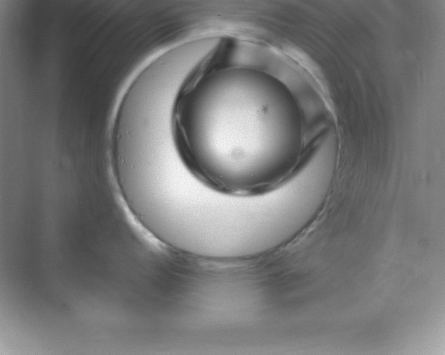 X0000070231152200606091710