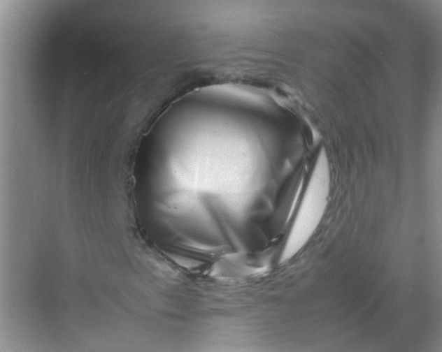 X0000070231153200606091709