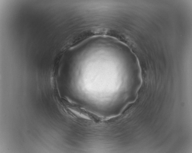 X0000070231154200606091709