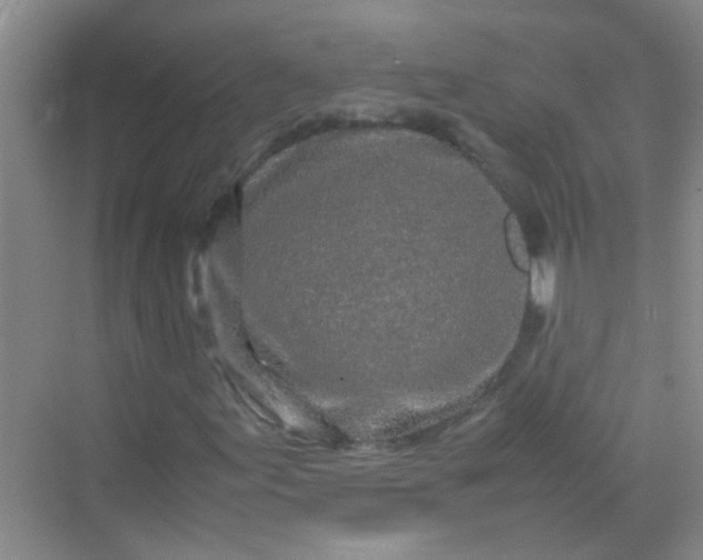 X0000070231155200606091709