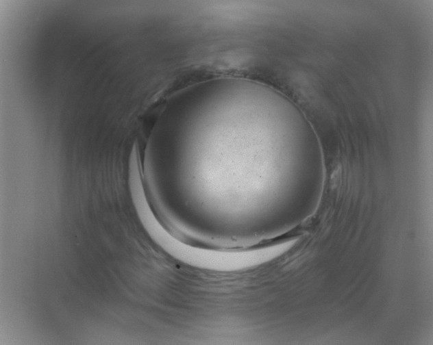 X0000070231156200606091709