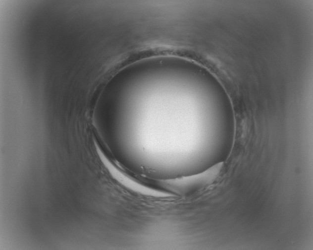 X0000070231157200606091709