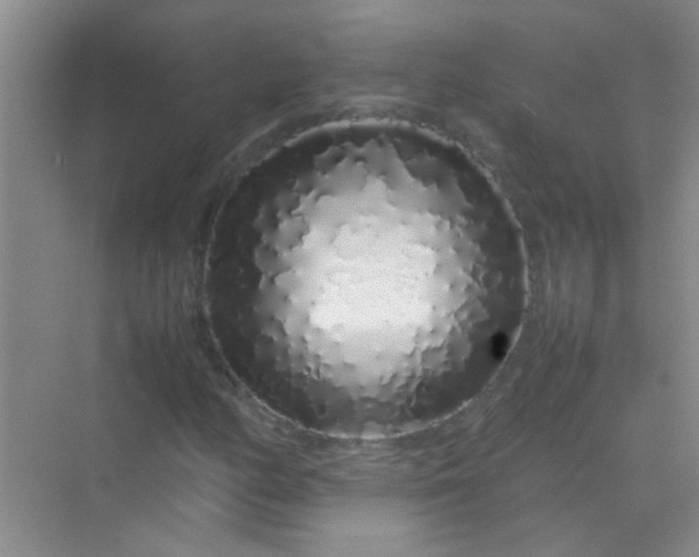 X0000070231158200606091709