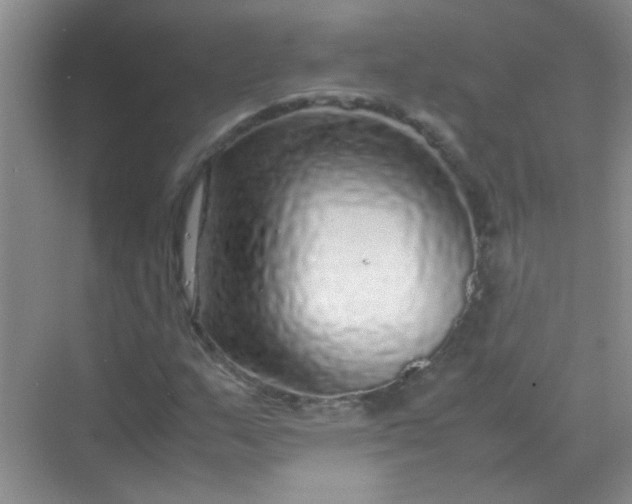 X0000070231159200606091709