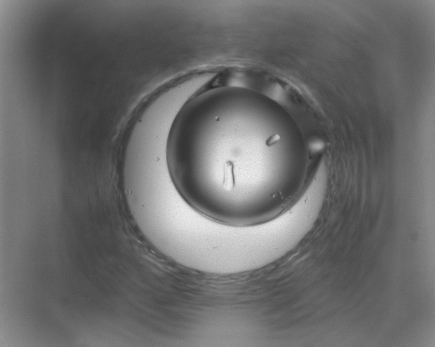 X0000070231160200606091709