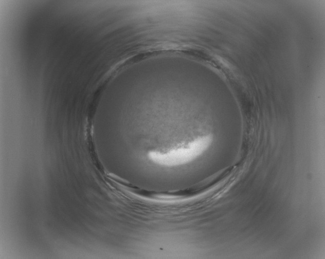 X0000070231161200606091709