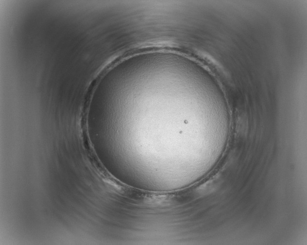 X0000070231162200606091709