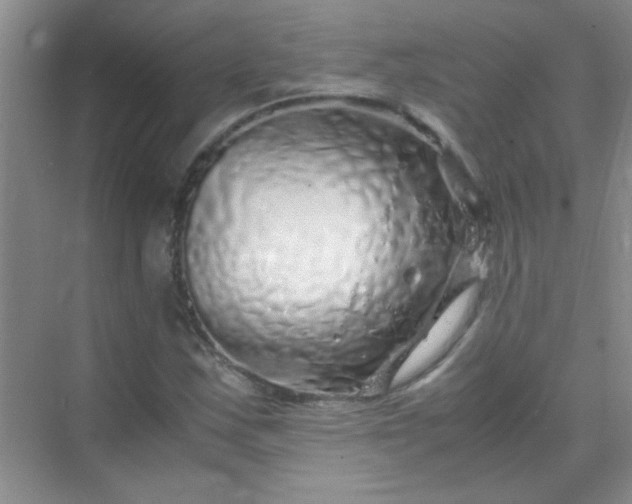 X0000070231163200606091709