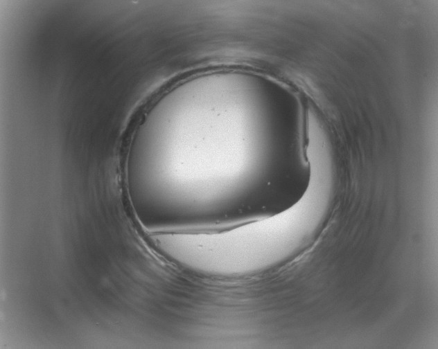 X0000070231164200606091709