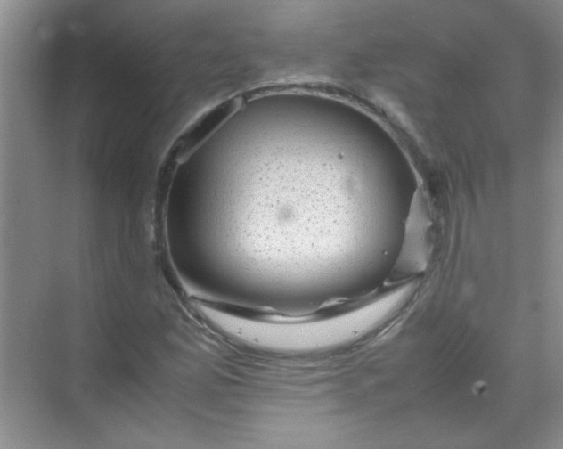 X0000070231165200606091709