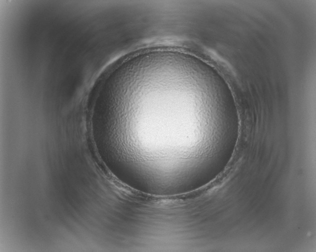 X0000070231166200606091709