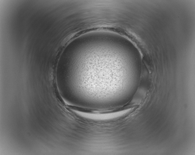 X0000070231169200606091709