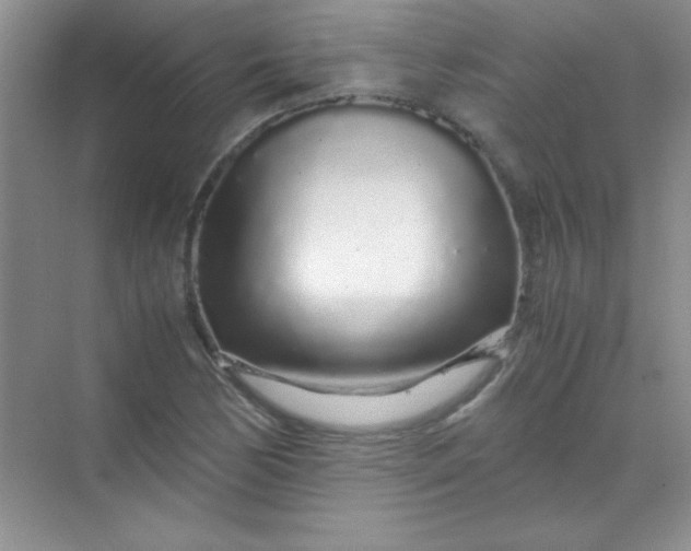 X0000070231170200606091709