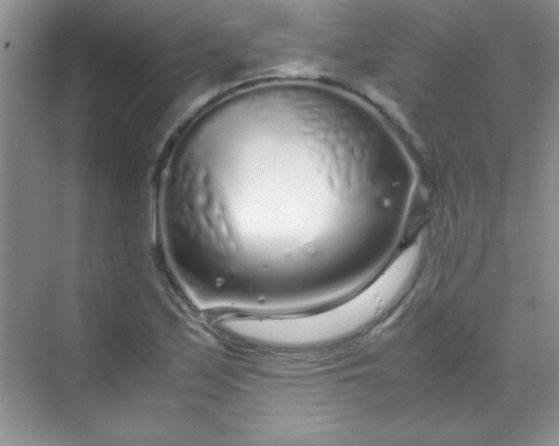 X0000070231171200606091709