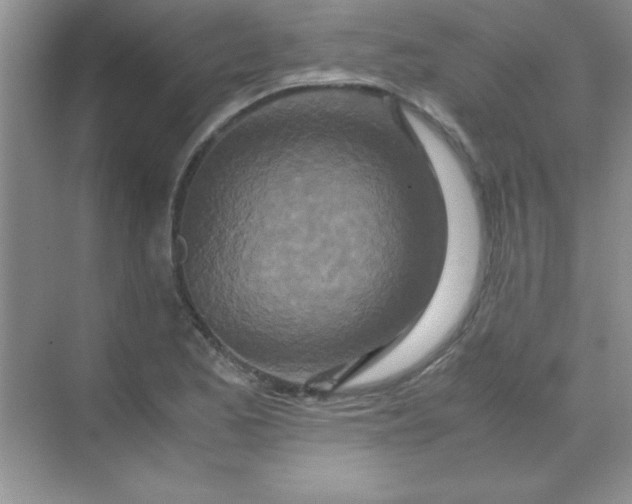 X0000070231173200606091709