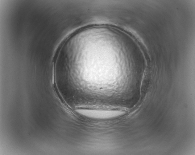 X0000070231175200606091709