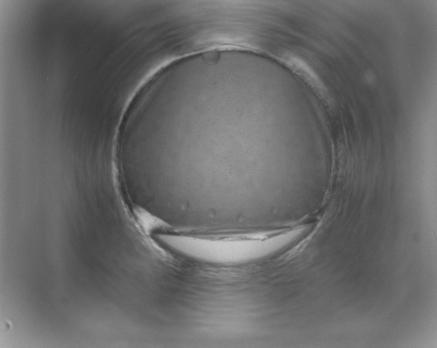 X0000070231182200606091709