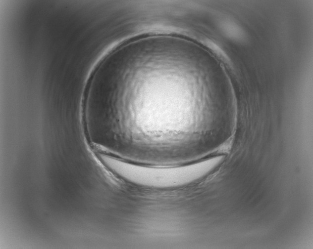 X0000070231183200606091709