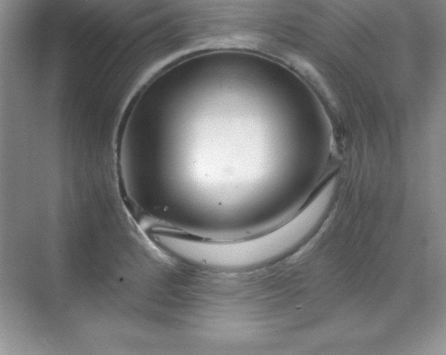 X0000070231184200606091709