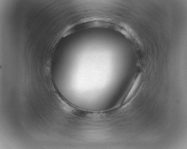 X0000070231185200606091709