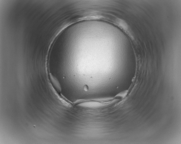 X0000070231186200606091709